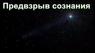 Из ниоткуда в никогда. Часть 29. Предвзрыв сознания. Дмитрий Гаун.