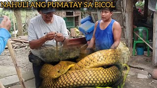 NAHULI SA BICOL ANG PUMATAY #COBRAKING