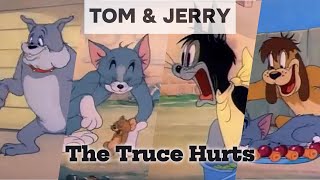 Tom and jerry, The Truce Hurts | part 4 | tom and jerry cartoon | cartoon tom and jerry