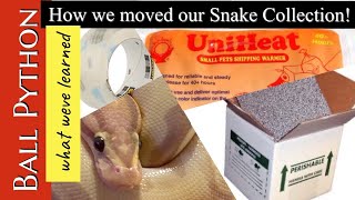 WHAT WEVE LEARNED:  How to move ball pythons!