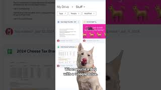 What would be in your dog’s Google Drive? 🤔 #Shorts