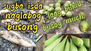 LAAG ME BUKID /SUGBA ISDA UG NAGLABOG UG BUTONG / RTH VLOG