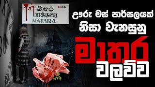 Holman katha sinhala srilanka 2021 | srilanka new sathya holman katha | real ghost story sinhala