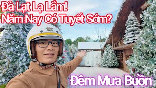 Đà Lạt Lạ Lắm! Café Năm Nay Có Tuyết Sớm, Mưa Đêm Rả Rích