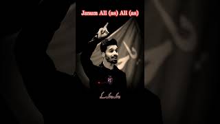 JANUM ALI (A.S.) ALI(A.S.) // MOLA ALI (A.S.) NOHAY STATUS // NEW STATUS 2023 # @aliabbasallstatus