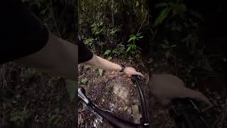 One of the steepest MTB tracks in Northland