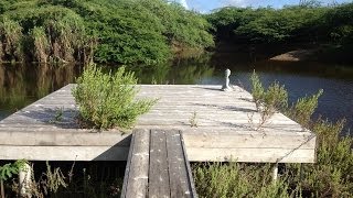 Permaculture on Bonaire - part 2