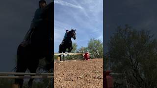 She’s getting so good #barrelracing #horsesport #equestrian #jumping #equine