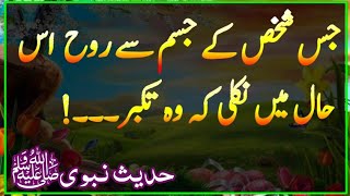 Takabbur Qarz Our Khianat Ka Masla | Hadees Shareef | Apne Momin Bhai Ko Khushi Do | AQH Official