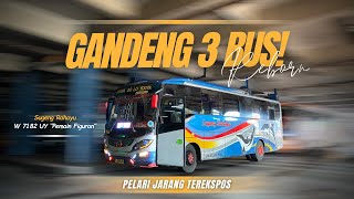 "FIGURAN REBORN" 😍SUSUL 2 BUS DI DEPANNYA⁉️ - Trip Sugeng Rahayu W 7182 UY Pelari Solo - Surabaya