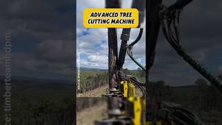 Advanced tree cutting machine #factsdaily #factshorts #uniqueshorts