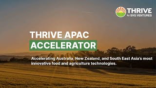 THRIVE APAC Accelerator FAQ webinar