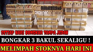 🔴 BONGKAR 3 BAKUL SEKALIGUS ! MELIMPAH STOKNYA MURAH HARGANYA 0838-7553-6945