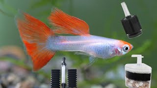 What is the best filter for guppies? Which filter should be used in guppy tank? filter for guppy fry