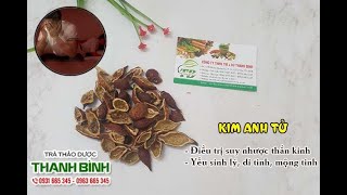 Kim Anh Tử (Kim Tử Anh) | Công dụng của kim anh tử