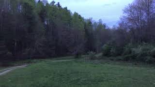 Relaxing at the Farm – What You Hear at Night is beautiful! #nature #sounds #kentucky #farm #beauty