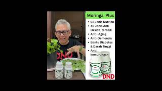 Manfaat Moringa yang tidak kita ketahui dari dr nordin darus