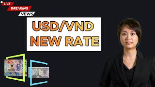 VIETNAMESE DONG NEW EXCHANGE RATE / USD TO DONG 22/7/2024