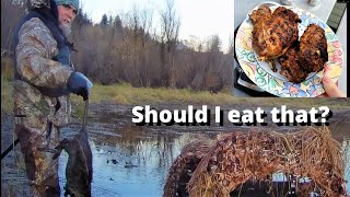 Nutria Catch and Cook