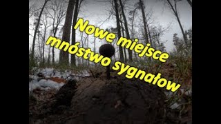 Wykopki nowe miejsce mnóstwo sygnałów