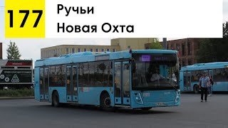 Автобус 177 "Ручьи - Новая Охта"