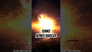 Funke Honey Badger #shorts #feuerwerk #fireworks