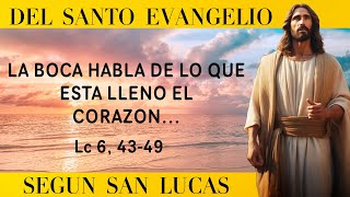 SANTO EVANGELIO SEGÚN SAN LUCAS| LC 6, 43-49 #dios #jesus #evangelio #oracion  #sanlucas #bible