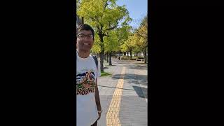 Japan Himeji street scenes: pedicab, big doggie