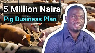 Pig farming Business with 5million Naira - 1 year Plan for starter