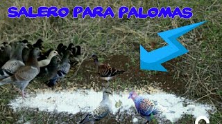 como hacer salero ,comedero,sebador para palomas '