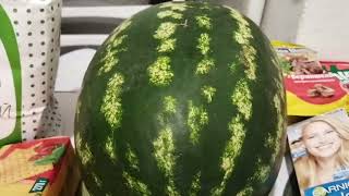 Обзор покупок из ДОБРОЦЕНА и ФИКС ПРАЙСА🍉.Беларусь