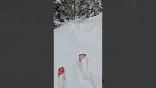 Crazy powder at solitude #shorts #funny #fyp #sick #tricks #youtubeshorts #powder #skiing