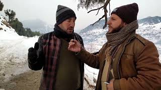 1000 year old tree  in kumrat valley