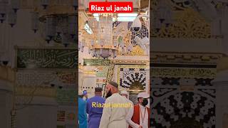 riyazul jannah madina #madina #shortsfeed #feed #feed #youtubeshorts #shorts #short #abulhasannoori