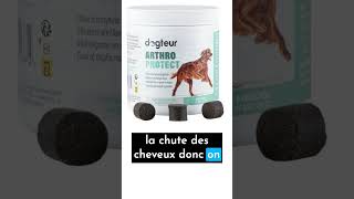 Arthro protect de chez Dogteur mon avis 4/7 #chien #animals #pets #veterinaire