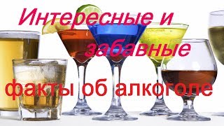 Интересные и забавные факты об алкоголе