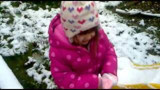 Lily in the snow