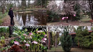 Soproni Egyetem Botanikus Kert tavasz | 2024.03.14 Vlog