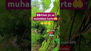 🎀Piyare doston jise Allah muhabbat karte hai💌deeni malumat #status #islam #islamic #video #foryou🌺💫