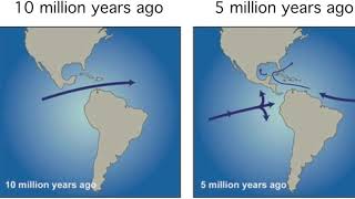 RTF: Are Megalodons extinct?