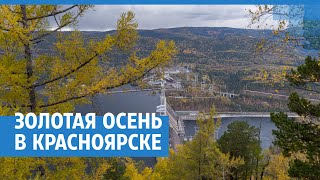 Золотая осень в Красноярске | NGS24.ru