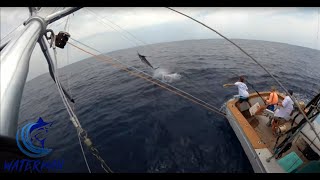 Fishing Cabo Mex for Mahi * Back to Kona for Marlin | Waterman S03 EP5 | Visions of Granders