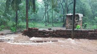 Enjoy the Monsoon at my place. ನಮ್ಮೂರ ಮಳೆಗಾಲದ ನೋಟಗಳು