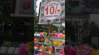 Single flower pot for ₹10/- in Pune🌻 #smallbusiness #information #youtubeshorts #shortsfeed #shorts