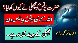 Hazrat Younus as ko Machli ne Kiyo Khaya | Story of Hazrat Younus | Jonah & Fish | Islami Mehfil