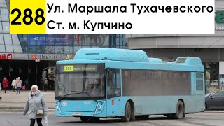 Автобус 288 "Ст. м. "Купчино" - ул. Маршала Тухачевского"