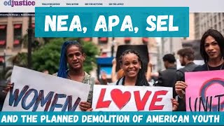 NEA, APA, SEL & the Planned Demolition of American Youth. A Conversation with Cari & Christine