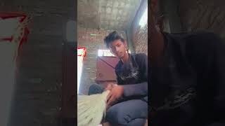 आप क्या कर रहे हैं #funny #shorts #viralvideo 😡😠😎😎😆😀😀🤣🤣🤣🤣😆😆😆