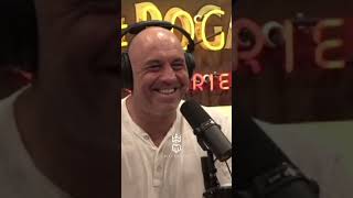 Joe Rogan on White Gay Privilege #joerogan #masculinity #motivationalspeech