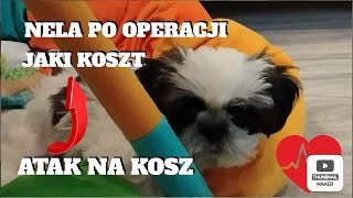 odc. 5 NELE PO OPERACJI JAKI KOSZT 2024r